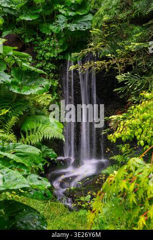Kleiner Forest Creek Wasserfall vertikal. Ein kleiner Wasserfall in einem üppigen, gemäßigten Regenwald im pazifischen Nordwesten. Stockfoto