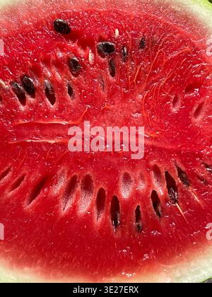 Erfrischendes Rotes Melonenstück Mit Samen. Hellroter Bereich Mit Wassermelone, In Dem Samen Und Glänzende Oberfläche Angezeigt Werden Stockfoto