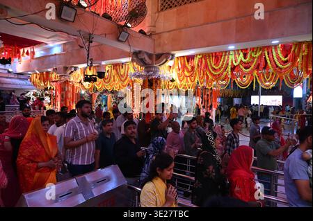 Neu-Delhi, Indien. März 2026. NEW DELHI, INDIEN – 17. MÄRZ: Blumendekoration für das kommende Chaitra Navratra im historischen Jhandewalan Tempel am 17. März 2026 in Neu-Delhi, Indien. (Foto: Sonu Mehta/Hindustan Times/SIPA USA) Credit: SIPA USA/Alamy Live News Stockfoto