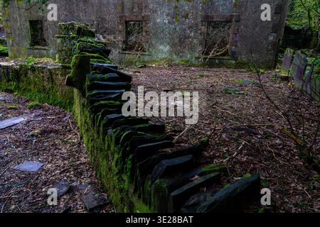 Geschwungene Schiefermauer aus trockenem Stein, die mit grünem Moos bedeckt ist und zu einem verlassenen Gebäude mit leeren Fensterrahmen im Dorothea-Steinbruch führt Stockfoto