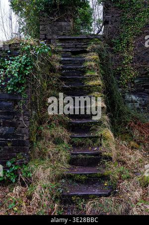 Eine äußere Schiefertreppe führt in die verwachsenen Ruinen des Dorothea Steinbruchs Stockfoto