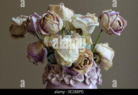 Verwelkte tote Rosen Blumenstrauß in lila Vase Vintage mit braunem Hintergrund. Stockfoto