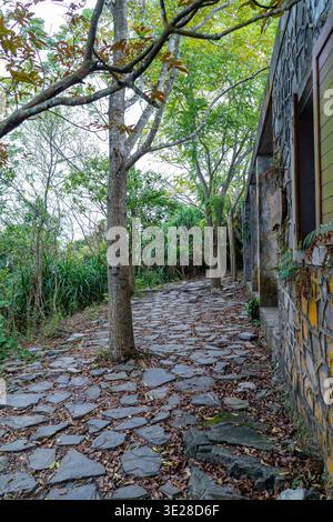 Ein gewundener Steinweg führt durch einen üppigen, grünen tropischen Wald mit Bäumen und Laub entlang der Route Stockfoto