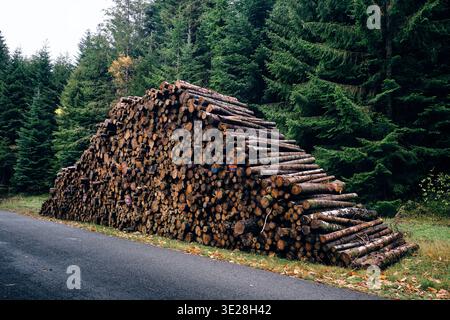 Empilement de bois de chauffage sur le bord d'une Route dans le Morvan / Holzhaufen am Rande einer Straße im Morvan Parc Naturel régional du Stockfoto