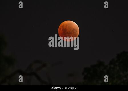 Eine totale Mondfinsternis, fotografiert aus Perth, Western Australia. Die rote Farbe des Mondes wird durch Rayleigh-Lichtstreuung verursacht. Stockfoto