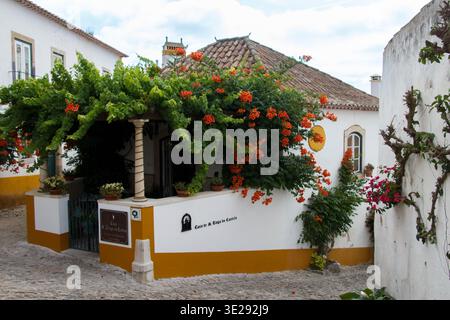 Ein wunderschönes Hotel mit hängenden Pflanzen und Blumen in einem typisch portugiesischen historischen Gebäude innerhalb der Stadtmauern in Obidos, Portugal Stockfoto
