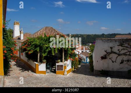 Ein wunderschönes Hotel mit hängenden Pflanzen und Blumen in einem typisch portugiesischen historischen Gebäude innerhalb der Stadtmauern in Obidos, Portugal Stockfoto