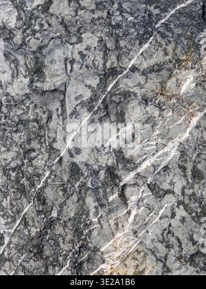 Hochauflösende Nahaufnahme der grauen Gesteinsoberfläche mit weißen Mineraladern, rauer Natursteinstruktur für Geologie, Konstruktion, Architektur und abstrakte Design-Hintergründe. Stockfoto