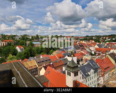 Stadtbild von Döbeln in Sachsen: Panoramablick vom Rathausturm über historische Dächer, Wohnhäuser und die sächsische Landschaft Stockfoto