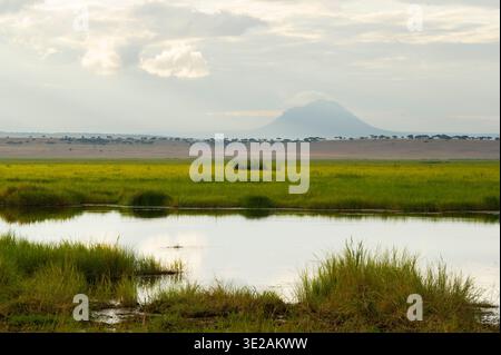 Silale Sumpf, Tarangire Nationalpark, Tansania Stockfoto