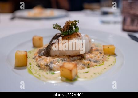 Gebratener Weißfisch auf Pilzrisotto mit Kartoffeln in Zermatt, Schweiz Stockfoto
