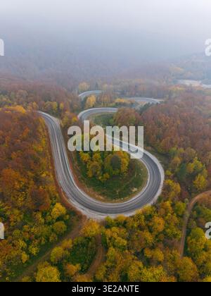 Aus der Vogelperspektive auf leere Waldstraße, bedeckt mit Morgennebel und sanftem Licht Stockfoto