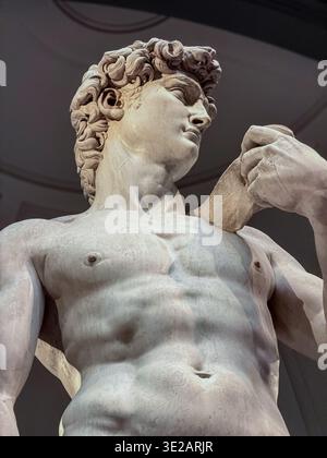 Michelangelos David ein Meisterwerk der Renaissance-Skulptur, die zwischen 1501 und 1504 aus einem einzigen weißen Marmorblock geschnitzt wurde, Galleria dell'Accademia Stockfoto