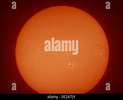 London, Großbritannien. März 2026. Scheibe der Sonne, fotografiert durch ein solargefiltertes Teleskop (Hydrogen alpha) mit markantem Sonnenfleck 4392 unter der Mitte, eine mögliche Quelle für Sonneneruptionen und aurora auf der Erde. Riesige Prominenzen springen vom Rand der Scheibe. Quelle: Malcolm Park/Alamy Live News Stockfoto