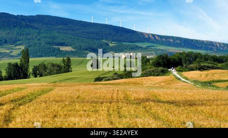 Pilger, die durch Weizenfelder mit Windturbinen in Navarra, Spanien, wandern. Stockfoto
