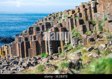 Giants Causeway Basaltsäulen, die durch antike vulkanische Aktivität gebildet wurden Stockfoto