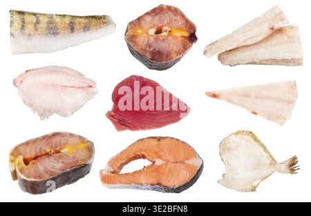 Collage aus verschiedenen rohen gefrorenen Fischen (zander, Störe, Seebarsch, Thunfisch, Kabeljau, Lachs, Flunder) isoliert auf weißem Hintergrund Stockfoto