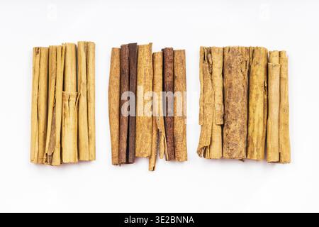 Blick von oben auf verschiedene Zimtstangen (Alba Premium ceylon, chinesische Cassia und kontinentale ceylon Zimt) auf weißer Platte Stockfoto