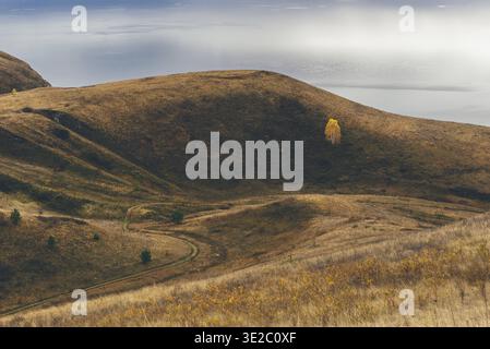 Essen, einsame Birke mit gelbem Laub am Hang. Blauer See im Hintergrund Stockfoto