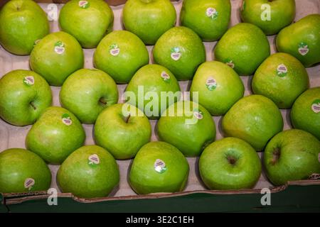 RIGA, LETTLAND. März 2026. Eine Vollformatansicht von oben nach unten mit frischen Granny Smith Äpfeln mit grüner Haut und kleinen weißen Aufklebern, ordentlich in A angeordnet Stockfoto