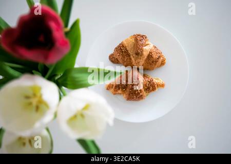 Die Croissants auf einem Teller mit weißen und roten Tulpen im Vordergrund Stockfoto