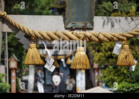 Heiliges Shimenawa-Strohseil und Zickzack-shide-Papier-Streamer hängen am sonnenbeleuchteten Torii-Tor und markieren den Eingang in das heilige Viertel Shinto Shine. Stockfoto
