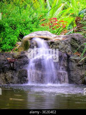 Üppiger Wald Wasserfall, der über Felsen stürzt und von lebhaftem Grün umgeben ist Stockfoto