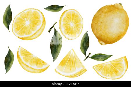 Zitronen-Aquarellset. Handgezeichnete tropische Sauerfrüchte. Clip-Art aus saftiger gelber Limette. Zitrusfrüchte auf isoliertem weißem Hintergrund. Ideal für Logo und Verpackung Stockfoto