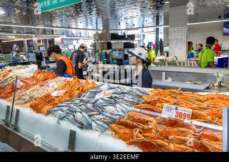 Der neue Sydney Fish Market, eröffnet im Januar 2026, Blackwattle Bay in Sydney, Stockfoto