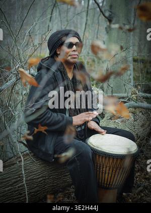 Männer spielen eine Djembe-Trommel durch einen Zweig Stockfoto