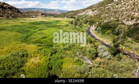 Luftaufnahme über einer üppigen Wiese in den halbtrockenen Rocky Mountains Stockfoto