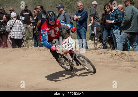 Dirtyfest BMX Downhill Race 2024 Stockfoto