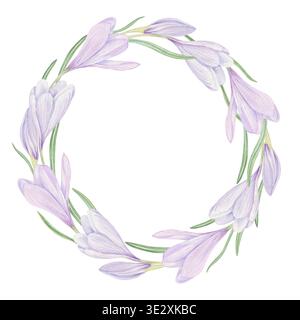 Blühender Krokuskranz Aquarellillustration auf isoliertem Hintergrund. Kreisförmiger Rahmen mit violetten Frühlingsblumen und Kopierraum für Text. Blumenrand Stockfoto