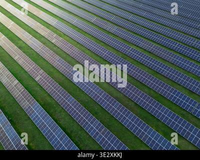 Reihen von Solarpaneelen erstrecken sich von oben über ein grünes Grasfeld und zeigen saubere Energie in Aktion und geometrische Muster. Stockfoto