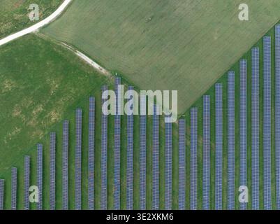Reihen von Solarpaneelen bedecken grünes Gras in einer Luftansicht, die das Design für saubere Energie zeigt. Stockfoto