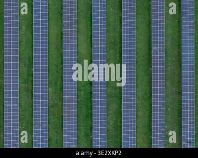 Reihen von Solarpaneelen richten sich auf einem grünen Grasfeld aus und zeigen aus der Luft eine nachhaltige Energiequelle. Stockfoto