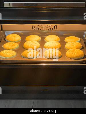 Frisch gebackene, hausgemachte Muffins in Pappbecher auf einem Blech im modernen Ofen Stockfoto