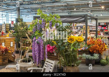 Nahaufnahme der farbenfrohen Blumenausstellung mit Glyzinien und Sonnenblumen im Gartencenter-Shop. Schweden. Stockfoto