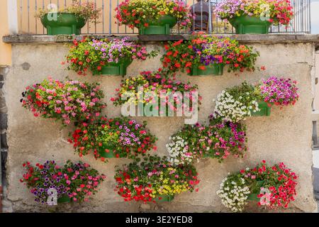 Bunte Blumen in grünen Pflanzgefäßen, die einen wunderschönen vertikalen Garten an einer Wand schaffen Stockfoto