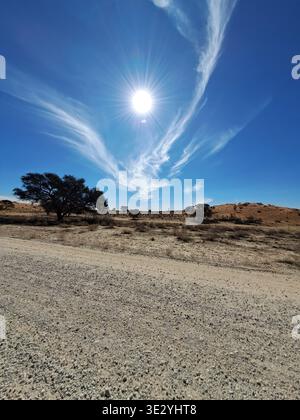 sonnenaufgang mit dramatischen, wackeligen Zirruswolken mit trockener Schönheit der Kalahari-Wüste Stockfoto