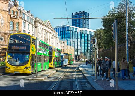 Dubliner Doppeldeckerbusse stehen auf dem Buskorridor der Dawson Street mit Luas-Straßenbahnschienen und der Royal Irish Academy in Irland. Stockfoto