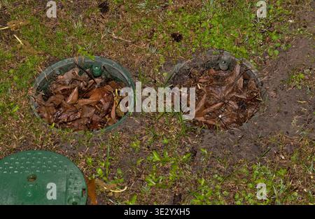 Abflüsse verstopft mit toten Herbstblättern im Entwässerungssystem für Rasenrasen im Gartenbereich. Stockfoto