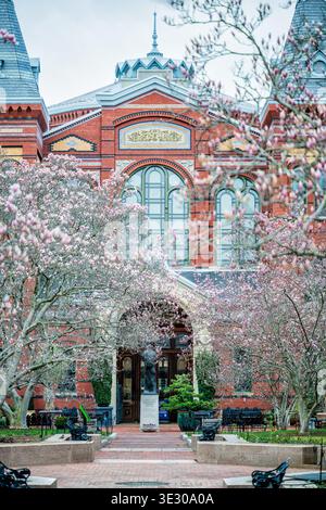Arts and Industries Building Untertasse Magnolias Enid A Haupt Garden Washington DC Vereinigte Staaten // ENID A. HAUPT GARDEN, Washington, D.C. — üppige rosa und weiße Untertasse Magnolienblüten Rahmen die Spencer Fullerton Baird Statue und den Arts and Industries Building Eingang, Mittwoch, 18. März 2026. Stockfoto