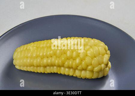 Mais auf dem Kolben mit schmelzender Butter auf einem grauen Teller Stockfoto