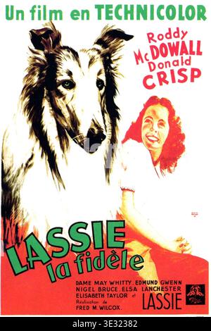 Lassie Come Home Filmposter 1943 Stockfoto