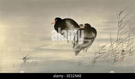 Ohara Koson – Zwei Wasservögel Stockfoto