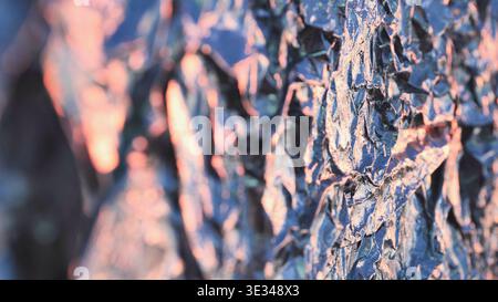 Abstrakter Hintergrund mit einer rauen zerknitterten Textur mit Licht und Schatten Stockfoto