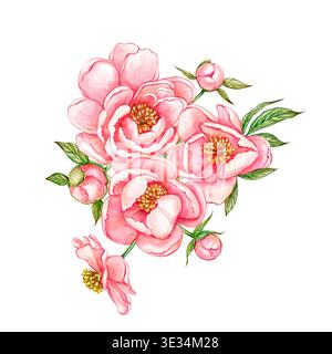 Aquarellpinke Pfingstrosen, handgemalte Blumenillustration, botanisches Gemälde auf weißem Hintergrund. Wunderschöner Strauß von Pfingstrosen Stockfoto