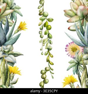 Nahtlos gestreiftes botanisches Muster aus Gänseblümchen, Sedum, sansevieria-Rosette-Sukkulenten, Curio-hängenden Weinpflanzen. Isolierte Illustrationshand Stockfoto