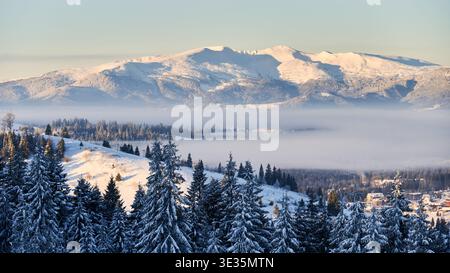 Atemberaubende Winterlandschaft mit schneebedeckten Bergen, die in goldenes Morgenlicht getaucht sind. Schneebedeckte Bäume stehen im Vordergrund, während Nebelschichten sanft Täler schleiern. Stockfoto
